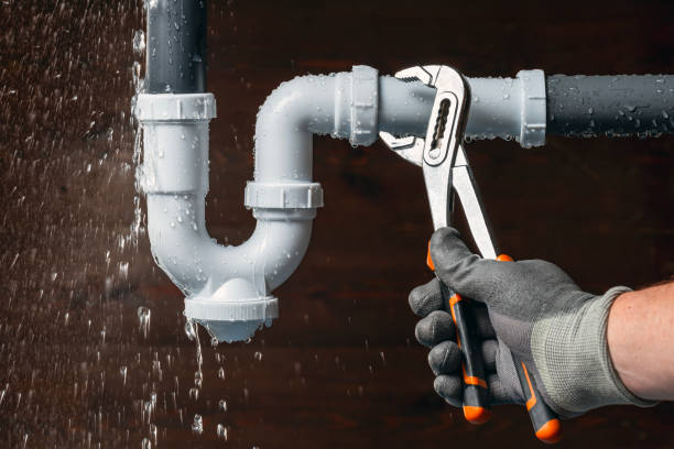 Professional Plumbing technician working in Samaria, MI